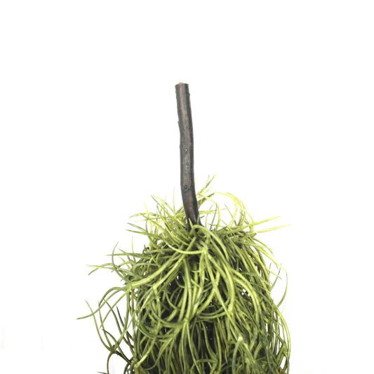 Artificial Air Plant Spanish Moss - Old Man Beard 60cm - Mekamart Australia