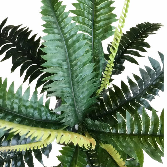 Artificial Dark Green Boston Fern 60cm - Mekamart Australia
