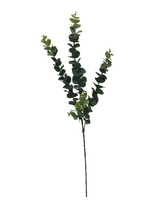 5 Pack - Long Eucalyptus Stem 77 cm