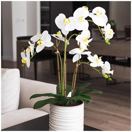 Artificial Orchid With Ribbed Pot 67cm - Mekamart Australia
