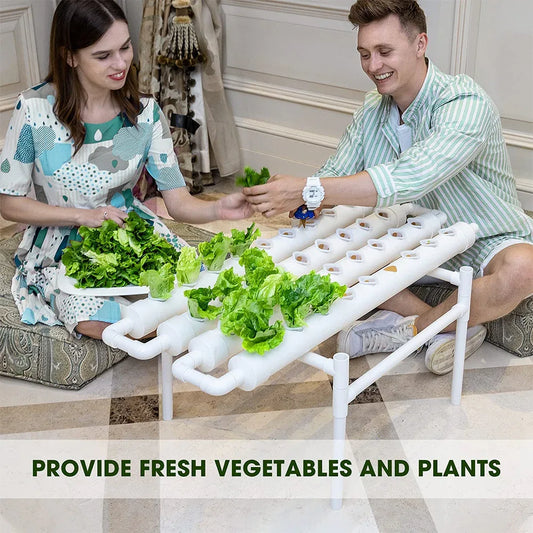 36 Sites Hydroponic Grow Tool Kits Vegetable Garden System 220V Water Pump - Mekamart Australia