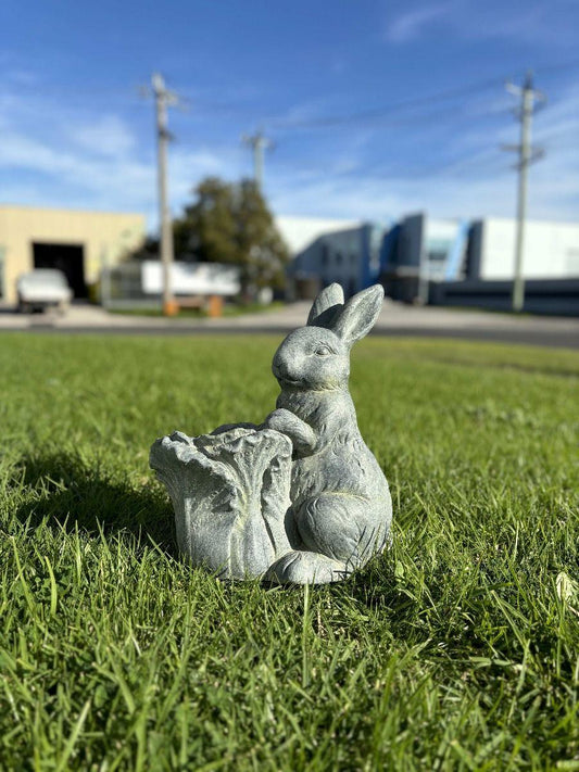 Peter Rabbit Planter - Mekamart Australia