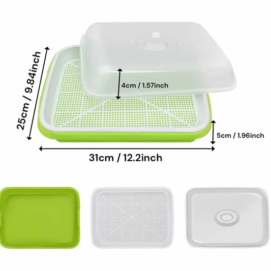 2-Pack Seed Sprouter Trays with Lids BPA-Free, Soil-Free Wheatgrass Growing Kit for Beans, Sprouts, Microgreens - Mekamart Australia