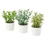 3 Pack of Artificial Herb Potted Plants in White Plastic 5cm Pot Interior Decoration - Mekamart Australia