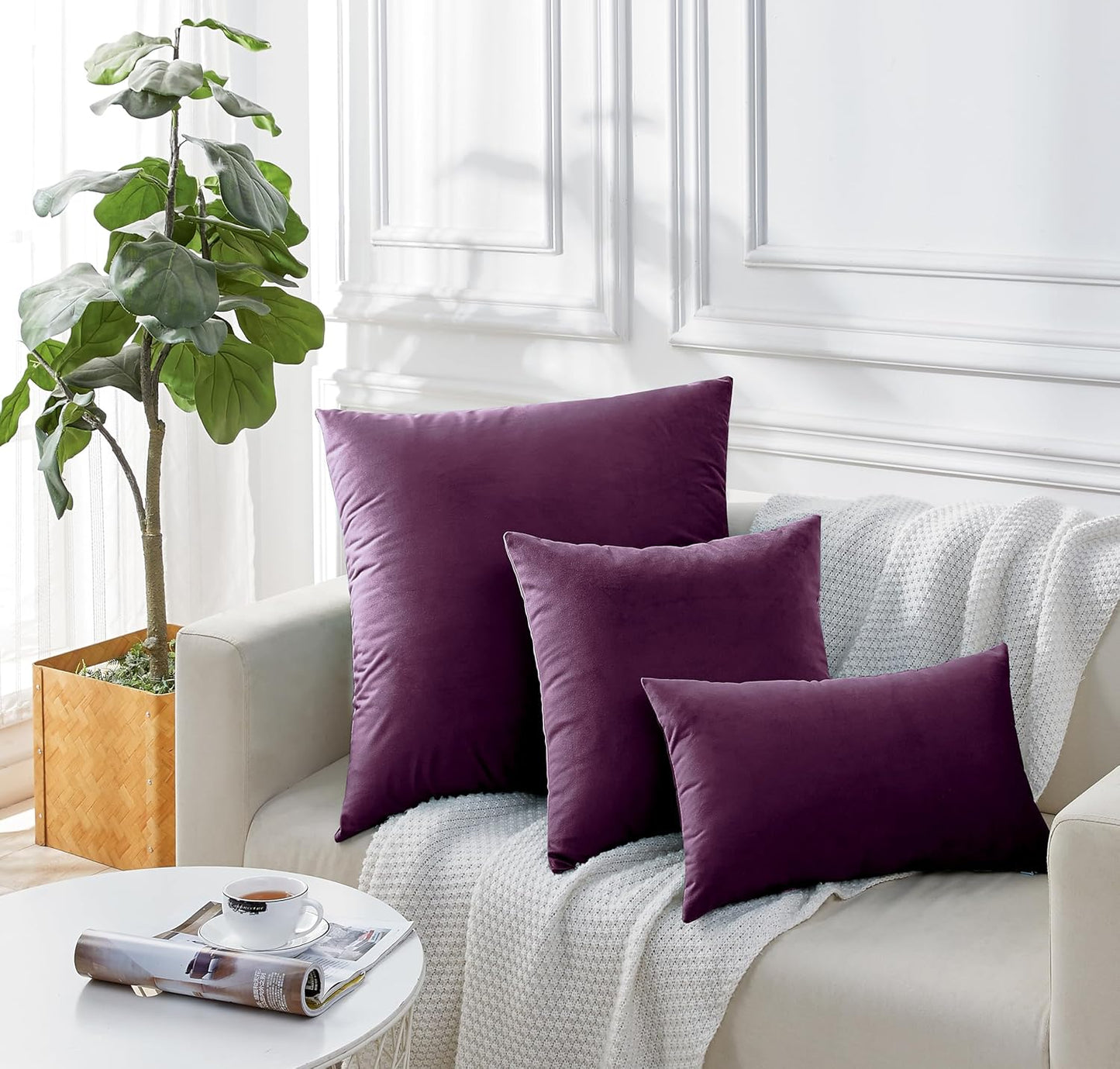 Twin-Pack Velvet Cushion Covers - Soft Microfibre Cushion Covers with Hidden Zipper (Plum, 30cm*50cm)