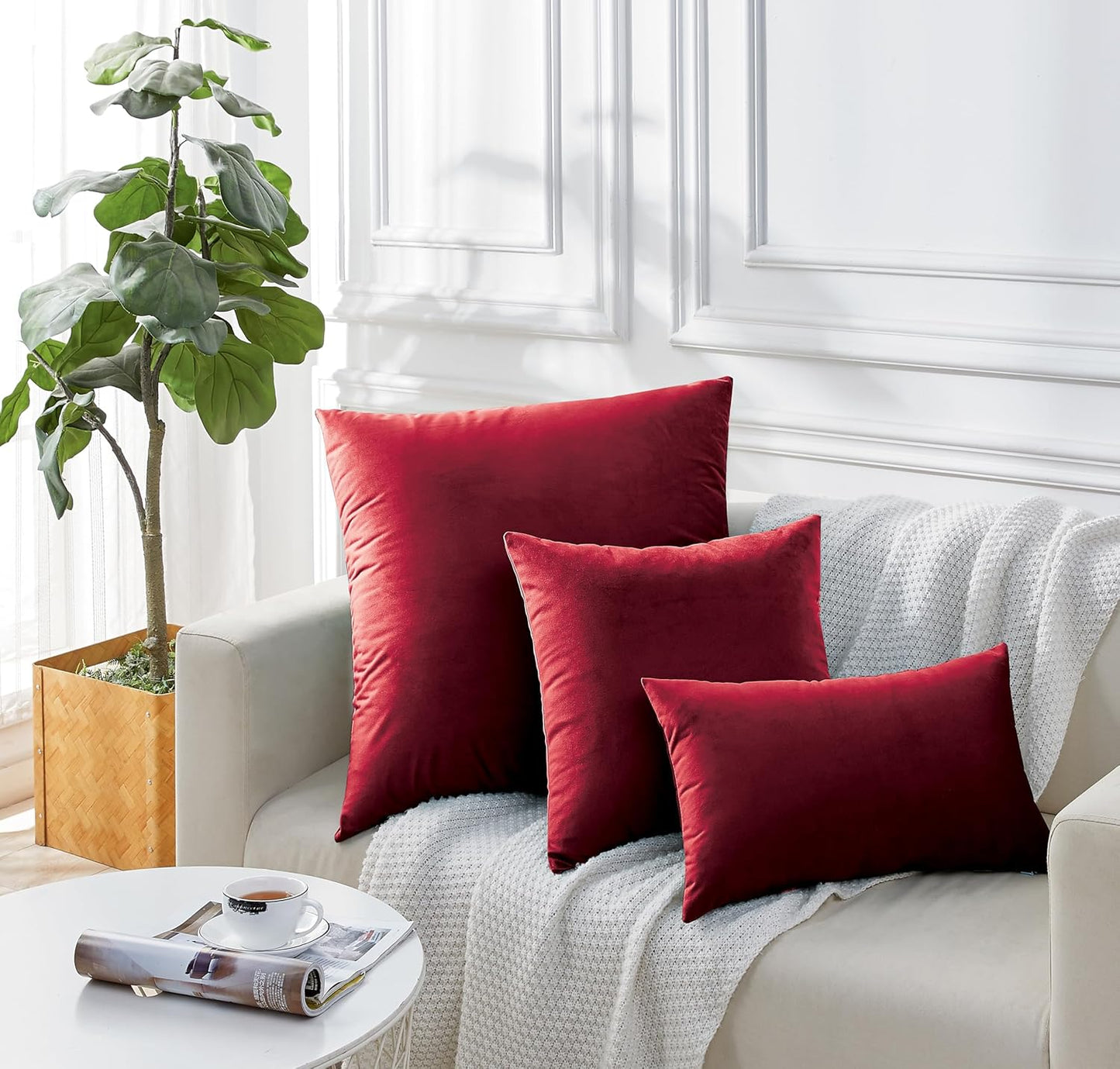 Twin-Pack Velvet Cushion Covers - Soft Microfibre Cushion Covers with Hidden Zipper (Red, 65cm*65cm)