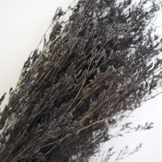 Misty Black - Mekamart Australia