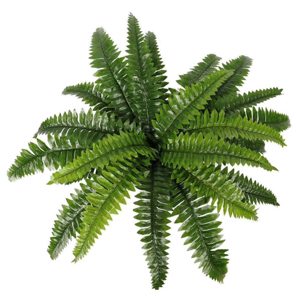 Artificial Potted Natural Green Boston Fern (50cm high 70cm wide) - Mekamart Australia