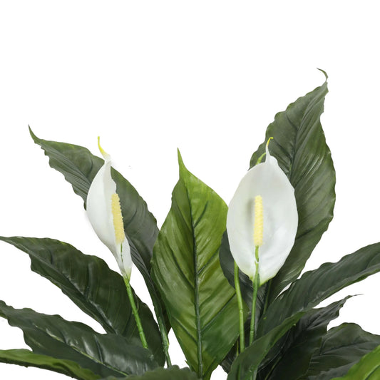 Artificial Spathiphyllum Peace Lily Plant with White Flowers 60cm - Mekamart Australia