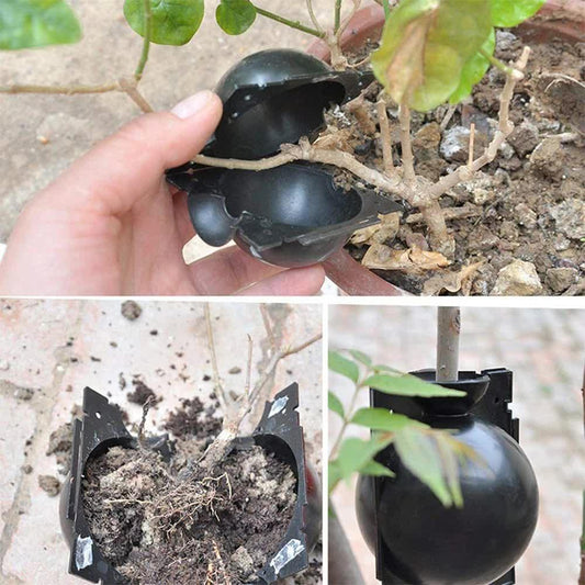 5-Pack Transparent Reusable Plant Air Layering Propagation Pod (Diameter: 5cm) - Anti-Waterlogging Grafting Root Ball Rooting Device for Flower & Fruit Trees - Mekamart Australia