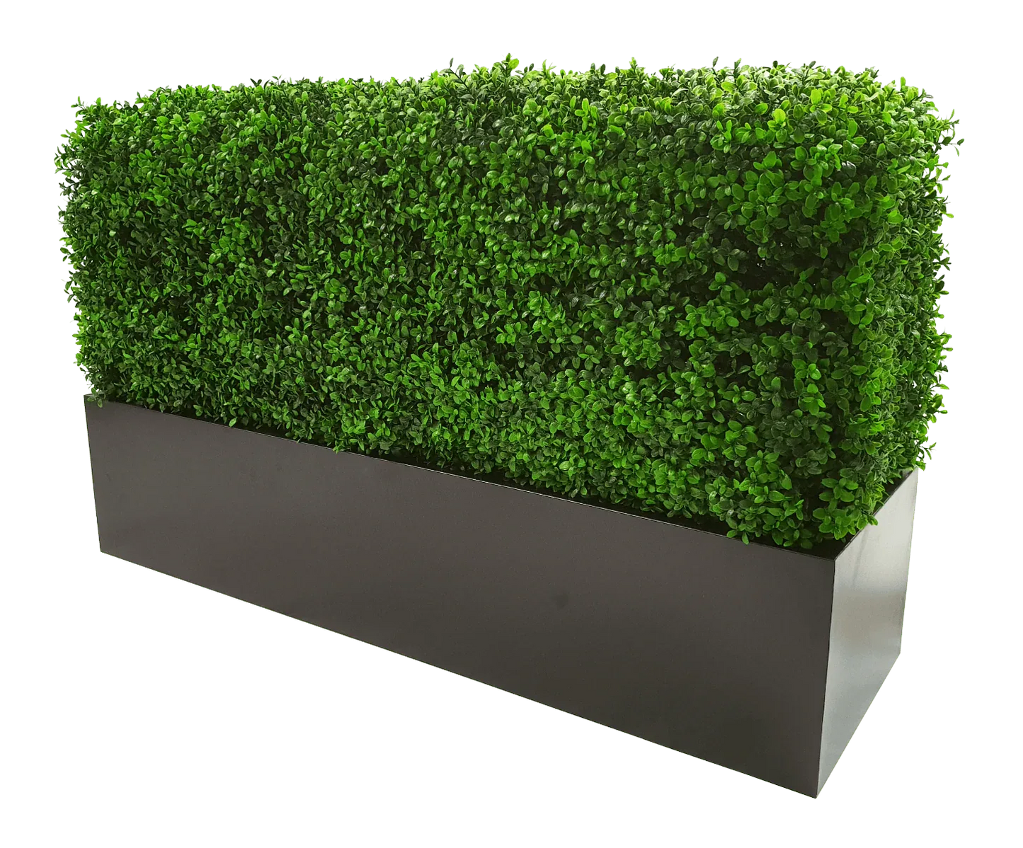 Deluxe Portable Buxus (Bright) UV Resistant 100cm Long x 50cm High x 25cm Wide - Mekamart Australia
