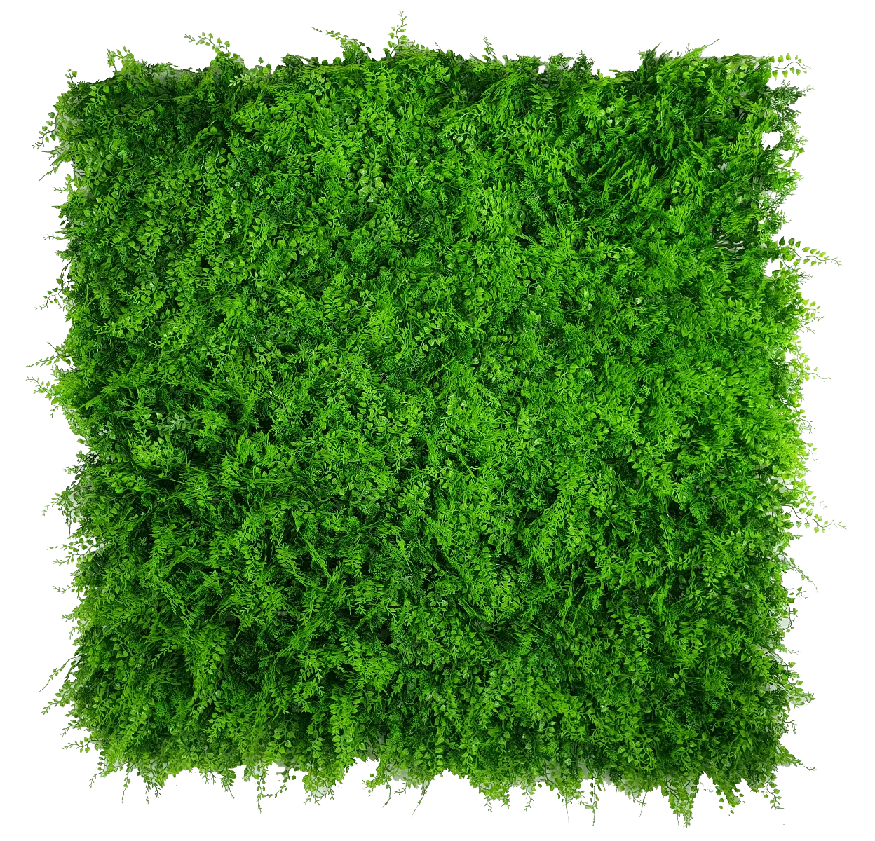 Mediterranean Fern Vertical Garden UV Stabilised 1m X 1m