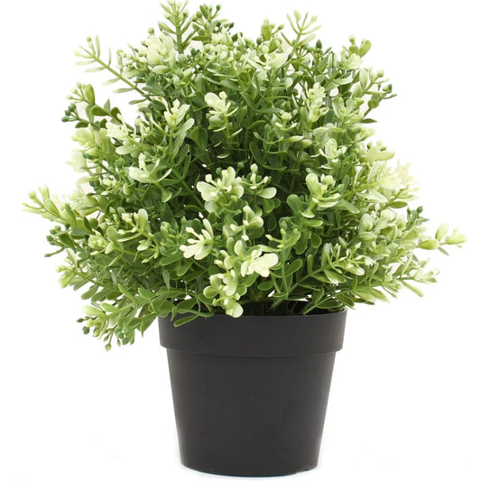 Small Potted Artificial White Jade Plant UV Resistant 20cm - Mekamart Australia