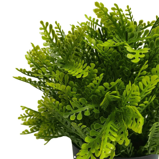 Small Potted Artificial Mimosa Fern UV Resistant 20cm - Mekamart Australia