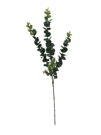 5 Pack - Long Eucalyptus Stem 77 cm