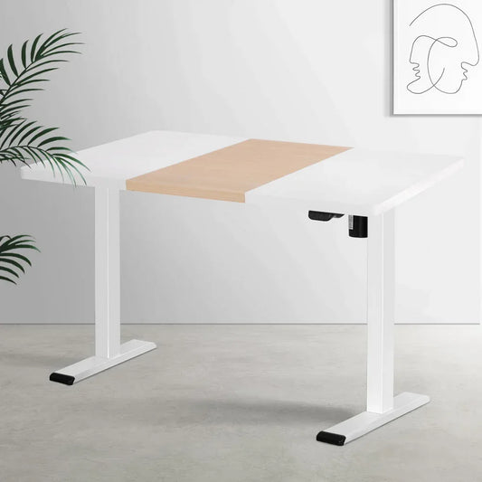 Artiss Standing Desk Motorised Sit Stand Desks 120CM - Mekamart Australia