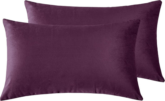 Twin-Pack Velvet Cushion Covers - Soft Microfibre Cushion Covers with Hidden Zipper (Plum, 30cm*50cm)
