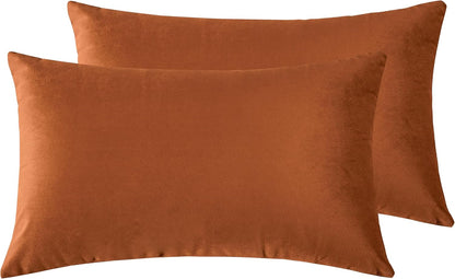 Twin-Pack Velvet Cushion Covers - Soft Microfibre Cushion Covers with Hidden Zipper (Terracotta, 30cm*50cm)