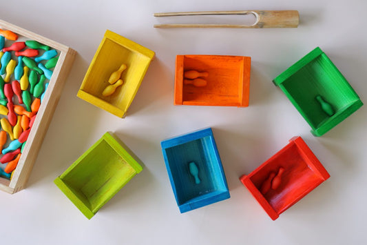 Coloured Bamboo Sorting Containers