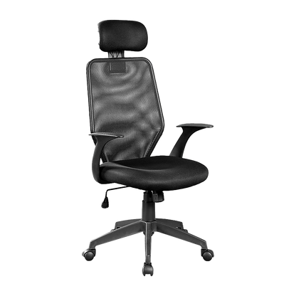 Ergonomic Mesh Office Chair
