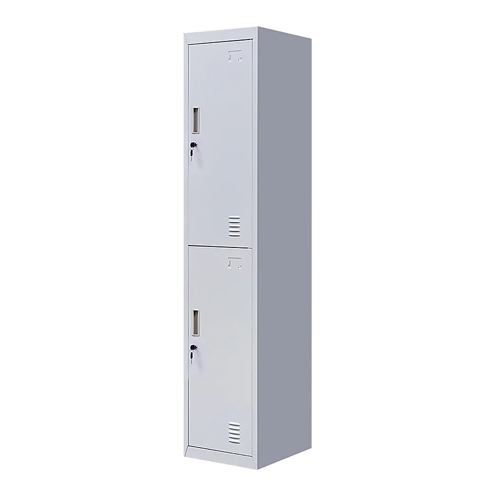 2-Door Vertical Locker for Office Gym Shed School Home Storage - Mekamart Australia