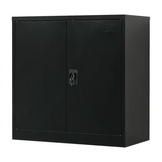 Two-Door Metal Short Cabinet Shelf Storage for Home Office Gym