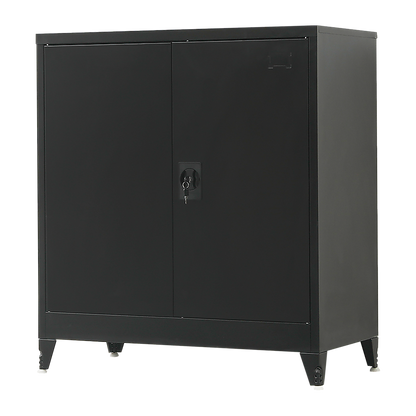 Two-Door Metal Short Cabinet Shelf Storage for Home Office Gym