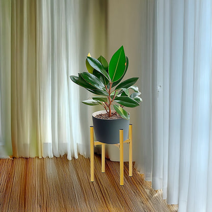 Metal Plant Stand Adjustable Indoor