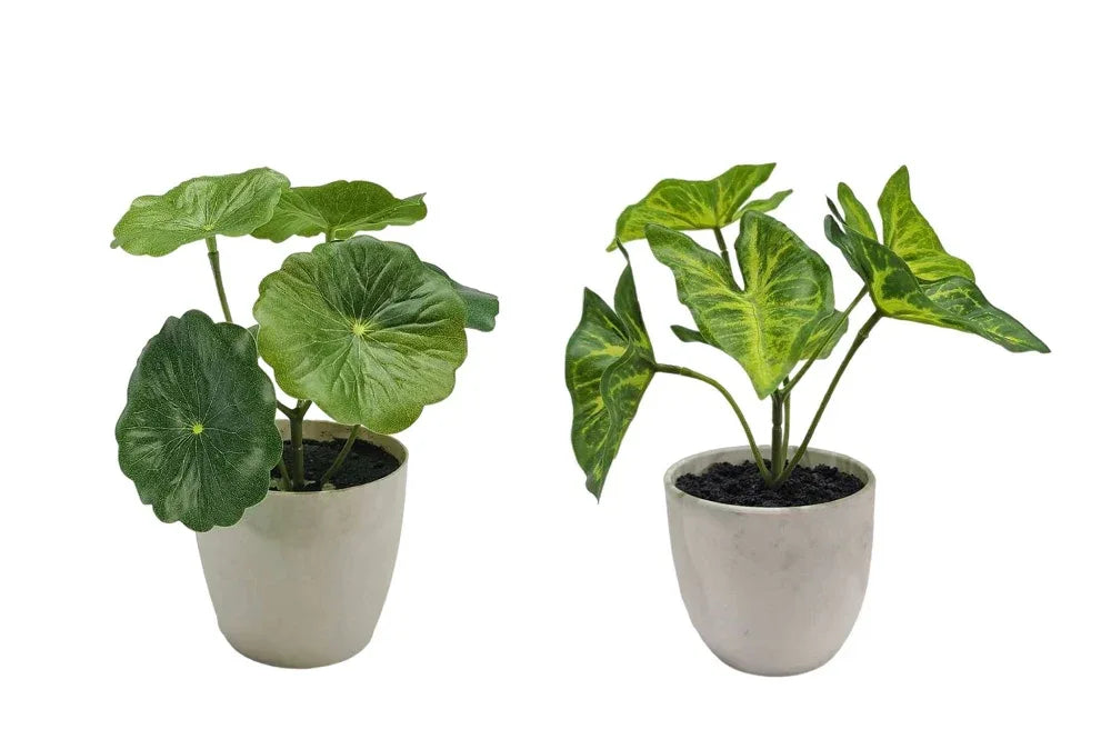 Set 2 Artificial Taro & Lotus Plant In Plastic Pot 7x15cm - Mekamart Australia