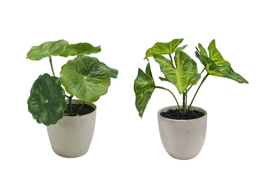 Set 2 Artificial Taro & Lotus Plant In Plastic Pot 7x15cm - Mekamart Australia