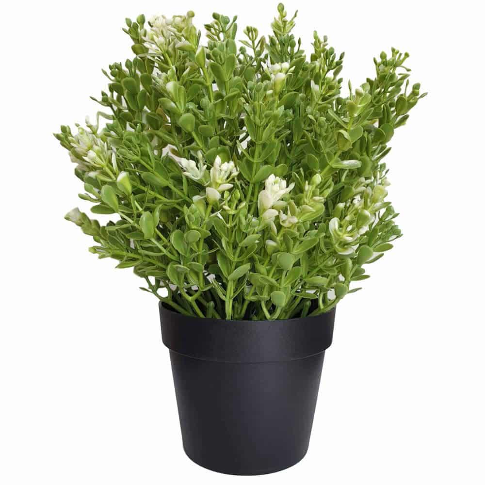 Small Potted Artificial White Jade Plant UV Resistant 20cm - Mekamart Australia