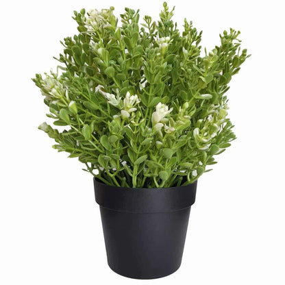 Small Potted Artificial White Jade Plant UV Resistant 20cm - Mekamart Australia