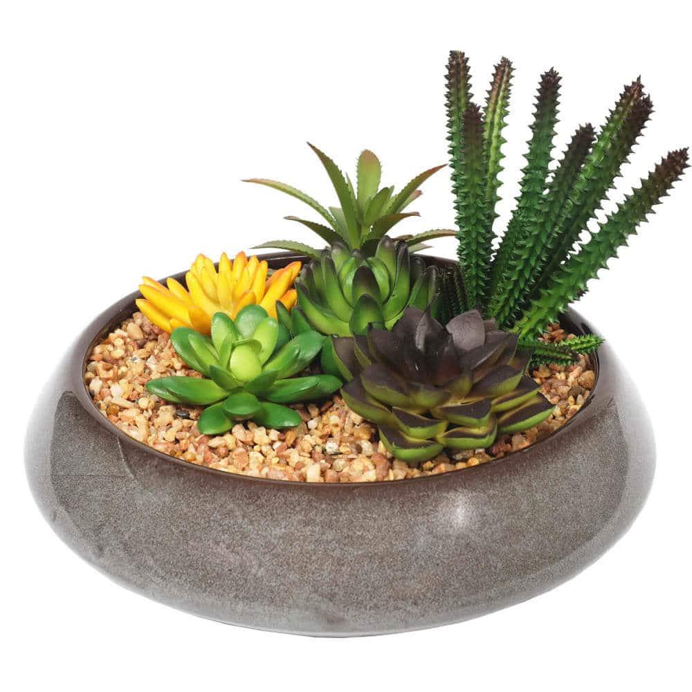 Potted Artificial Succulents with Round Decorative Bowl 19cm - Mekamart Australia