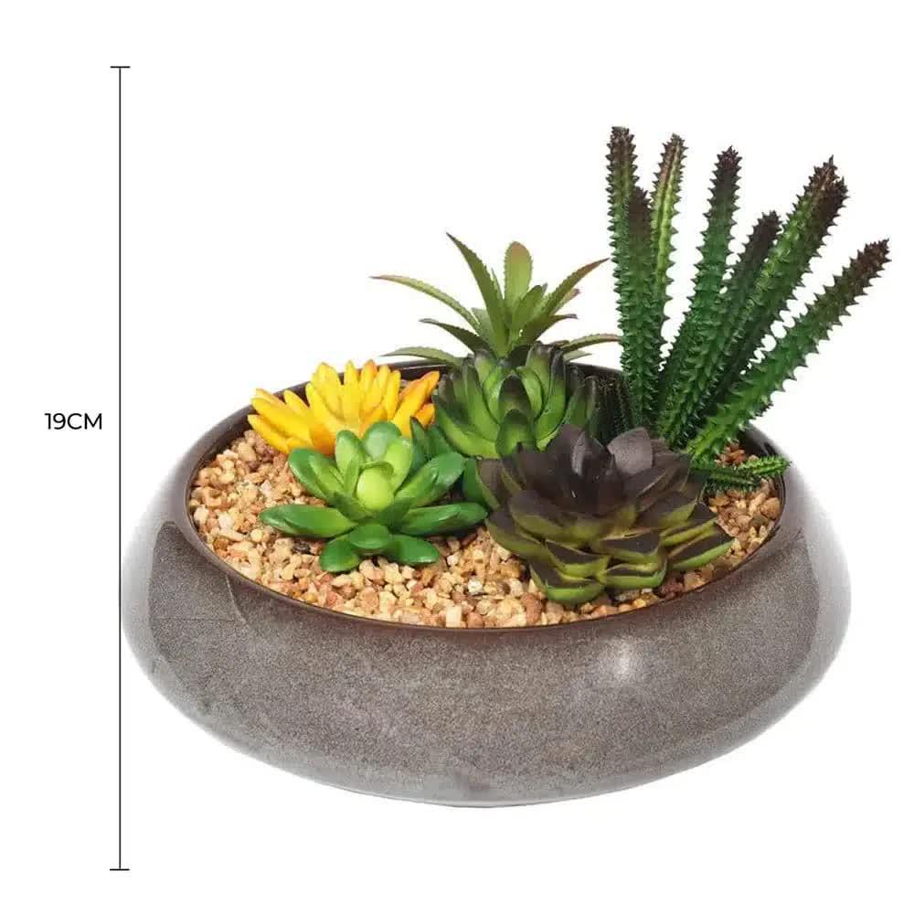 Potted Artificial Succulents with Round Decorative Bowl 19cm - Mekamart Australia