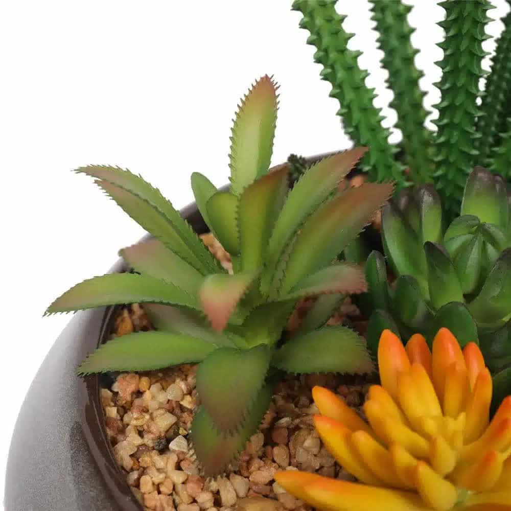 Potted Artificial Succulents with Round Decorative Bowl 19cm - Mekamart Australia