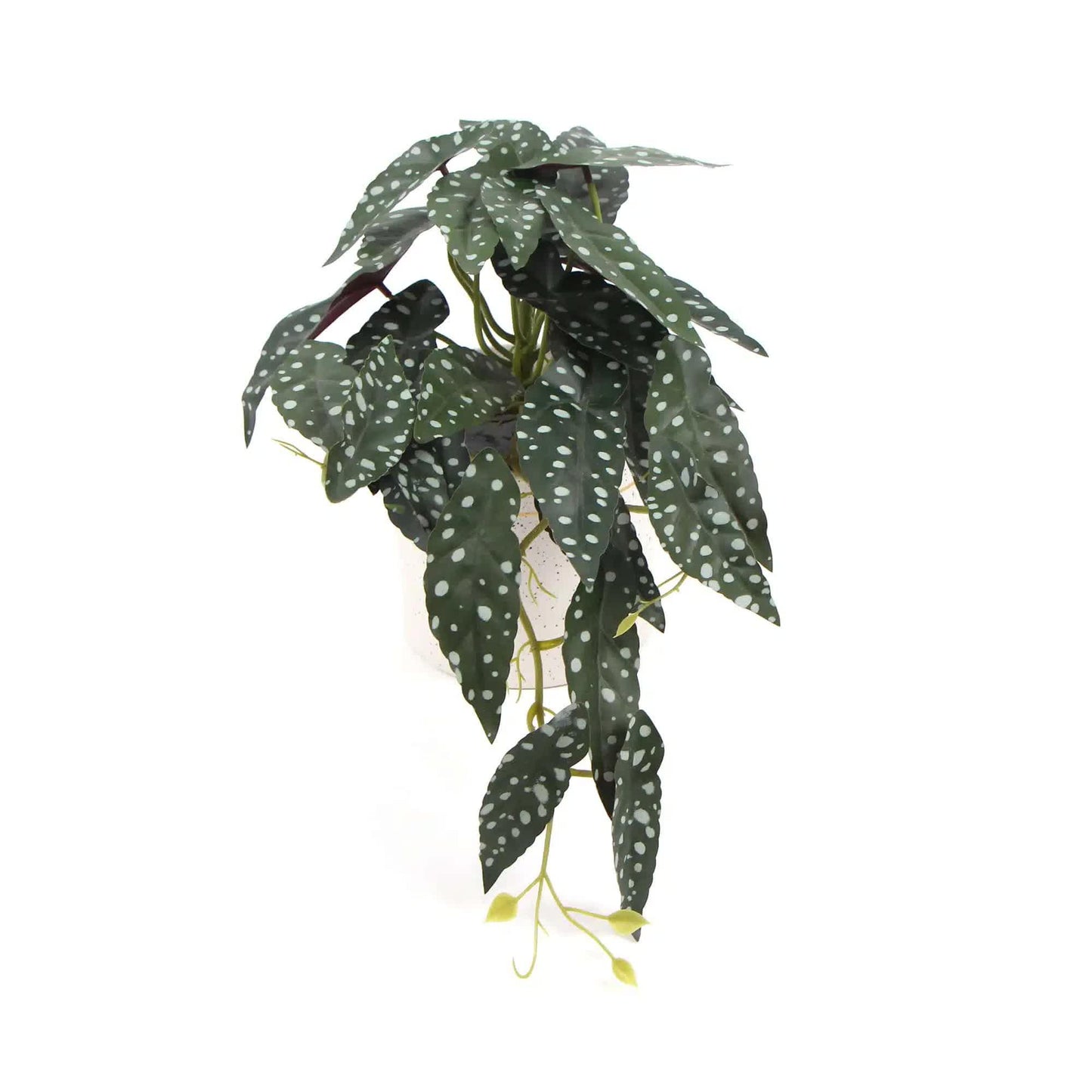 Artificial Begonia Maculata Plant In Decorative Bowl 30cm - Mekamart Australia
