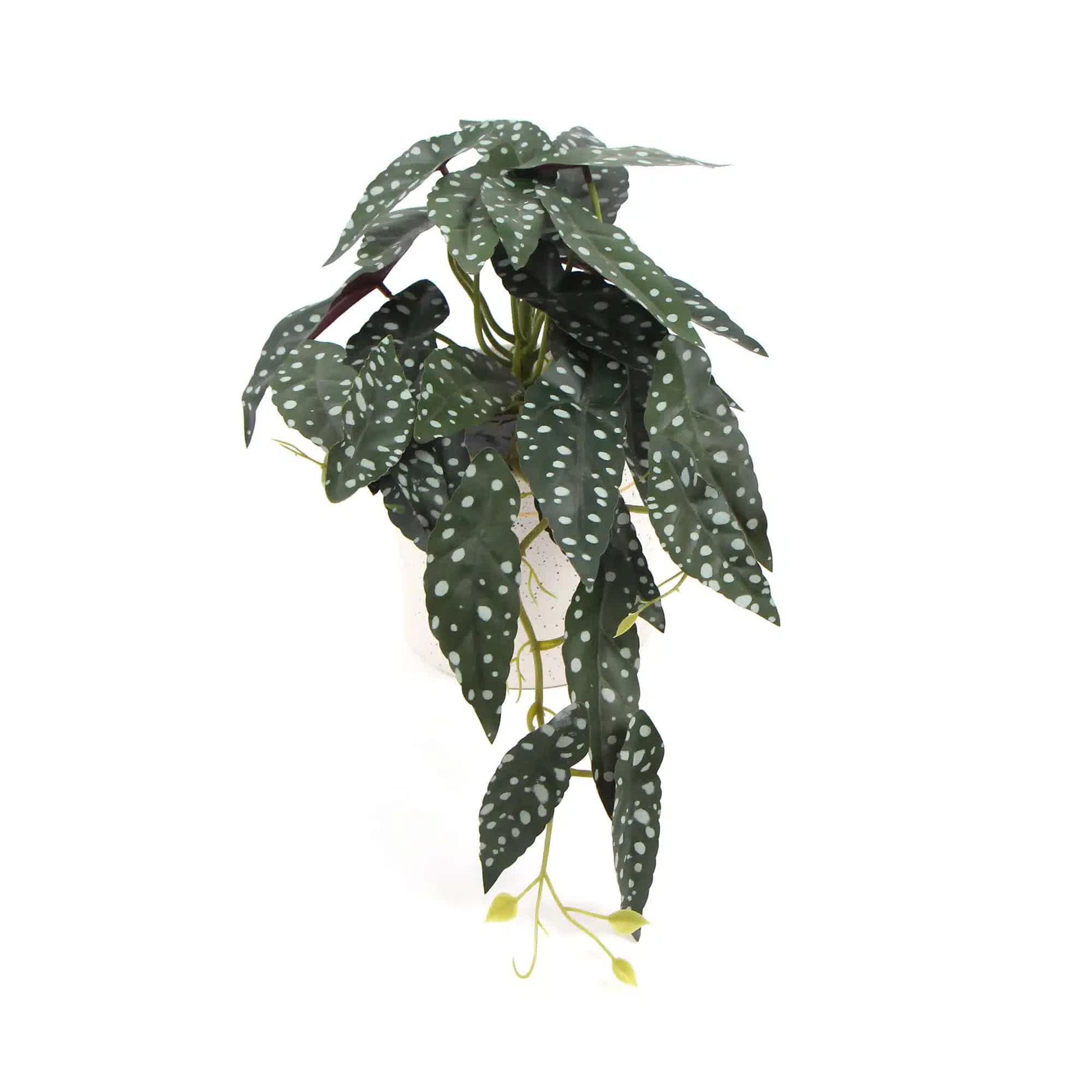 Artificial Begonia Maculata Plant In Decorative Bowl 30cm - Mekamart Australia