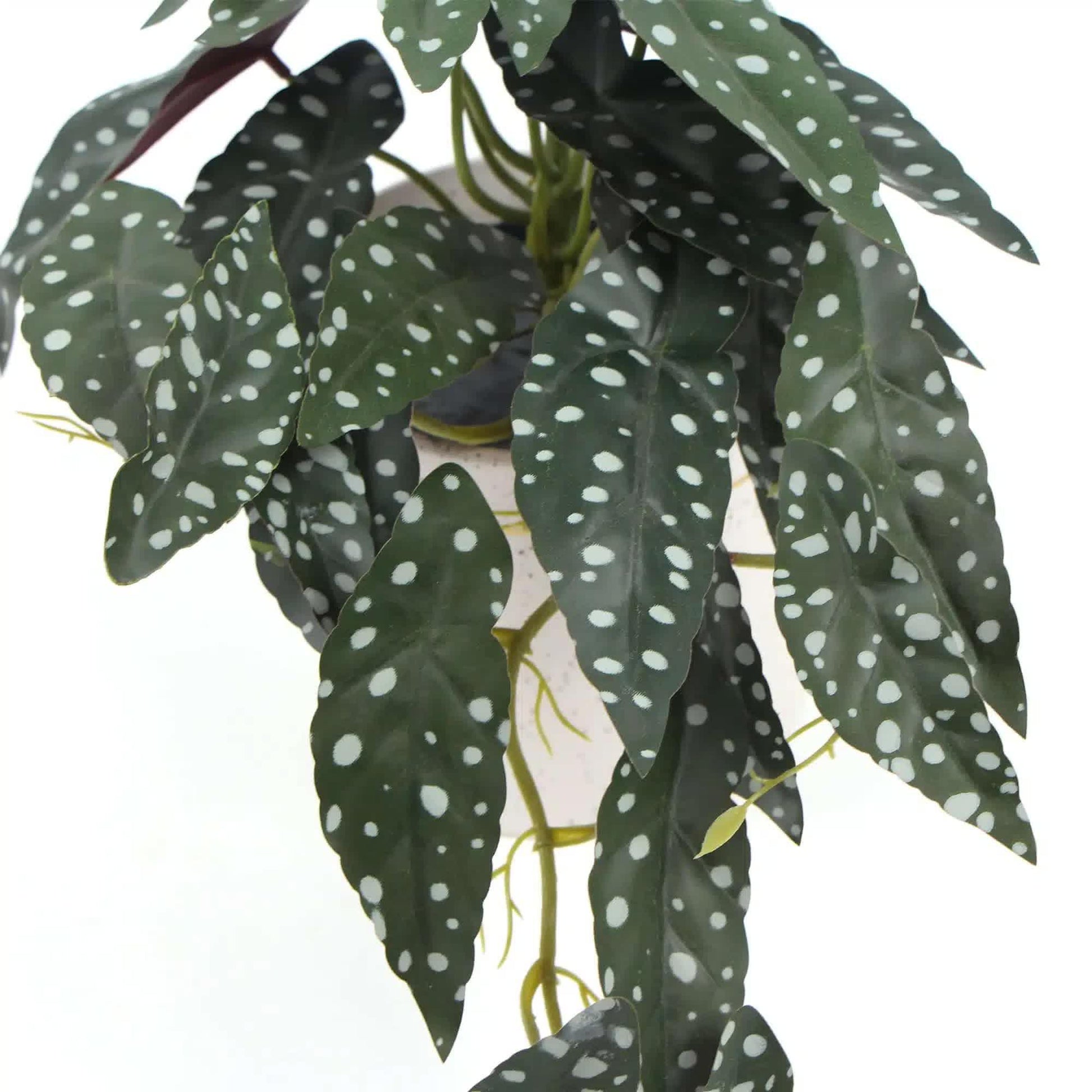 Artificial Begonia Maculata Plant In Decorative Bowl 30cm - Mekamart Australia