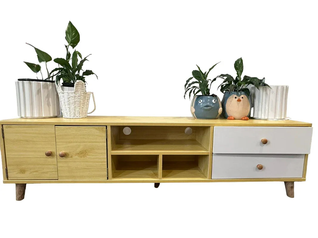 NNECN Two-Doors, Two-Drawers Wooden TV Cabinet - Mekamart Australia