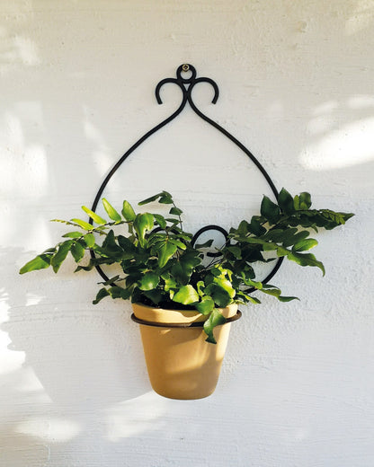 casa-verde-goya-wall-pot-holder-with-pot-cv05158