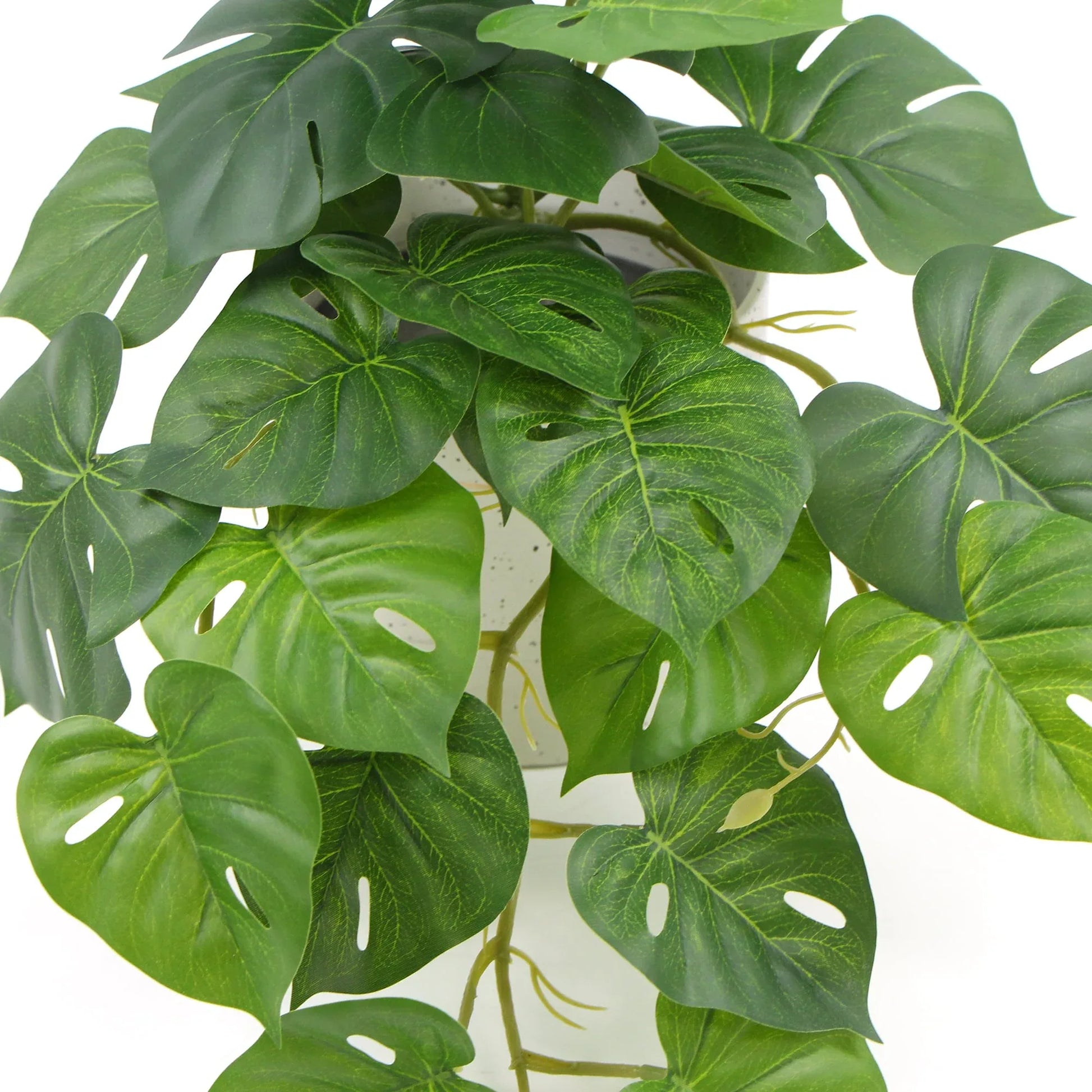Decorative Ceramic Bowl Potted Artificial Monstera Plant 30cm - Mekamart Australia