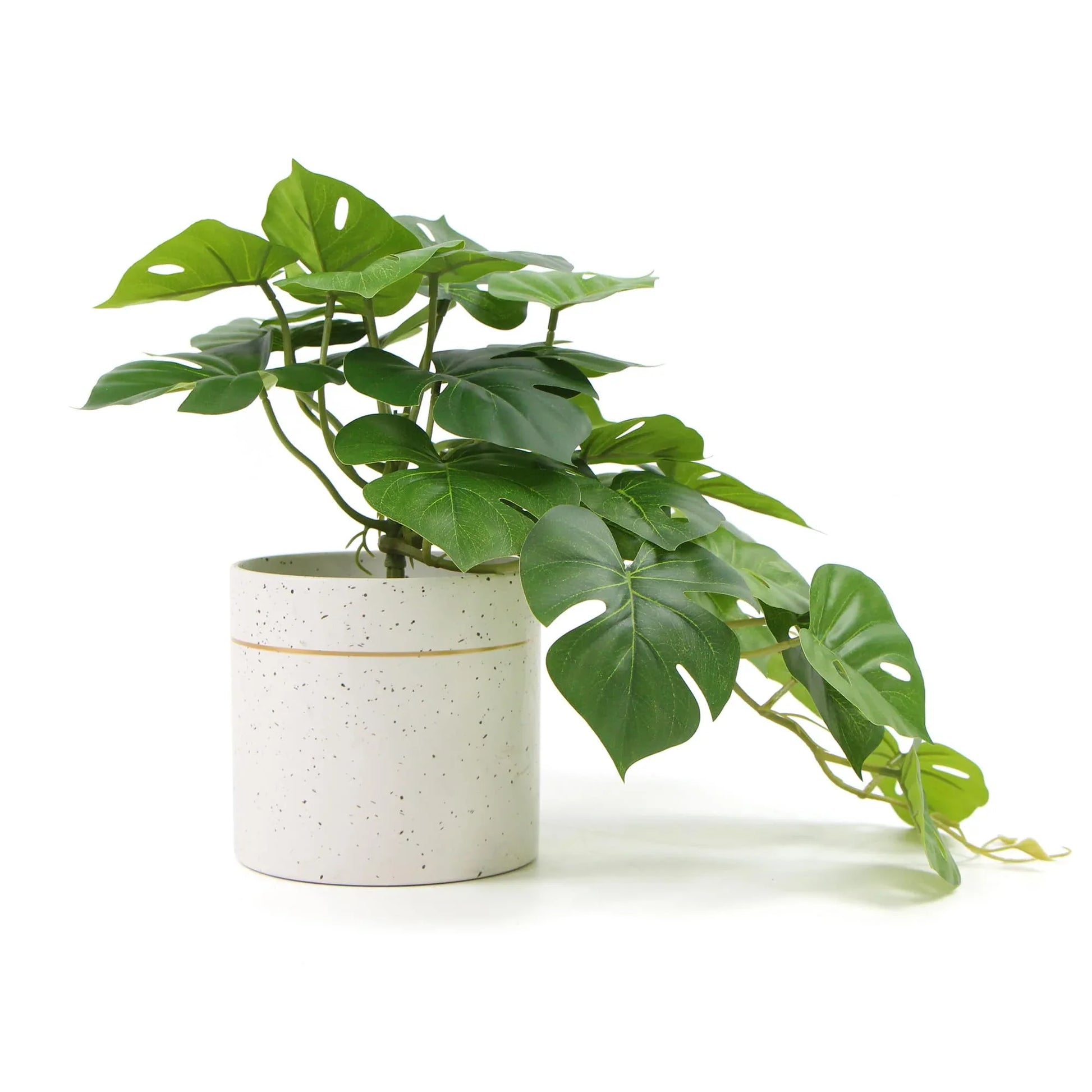 Decorative Ceramic Bowl Potted Artificial Monstera Plant 30cm - Mekamart Australia