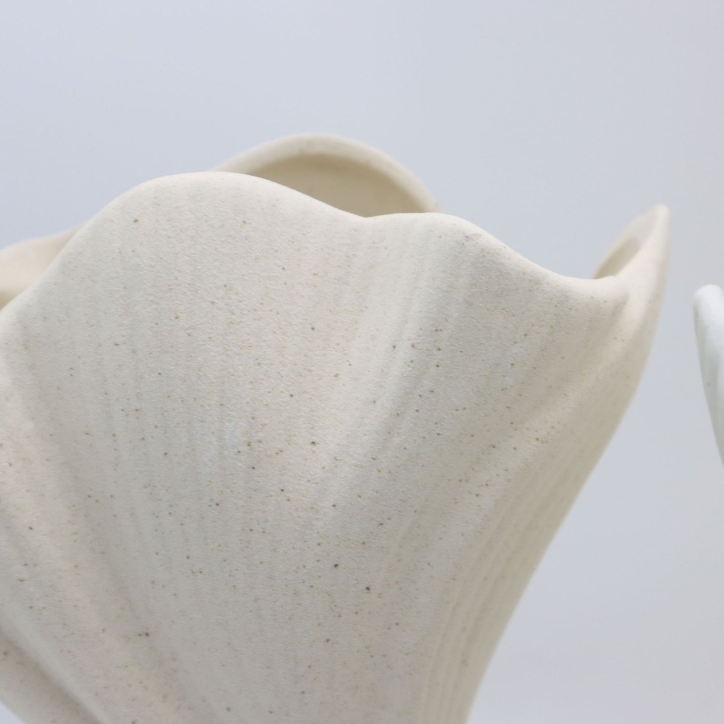 Black Elegant Off-White Ceramic Vase - Modern Sculptural Flower Holder with Wide Fluted Opening