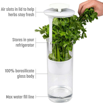 Green Premium Herb Savor & Freshness Keeper - Extends Life of Herbs, Cilantro, Parsley & More